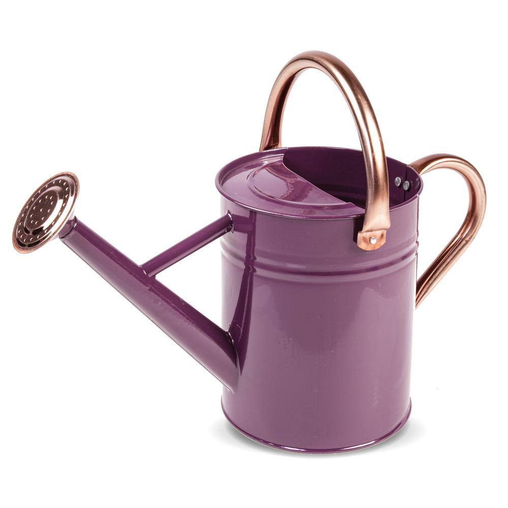 Gardman 1 Gal. Watering Can Deep Violet R34881X