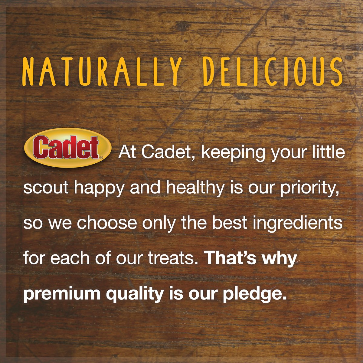 Cadet Premium Grade Rawhide Chips Dog Treats