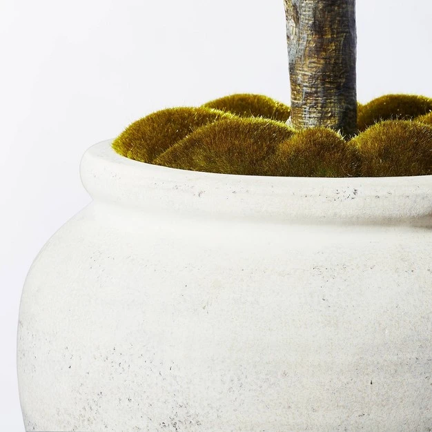 Artificial Olive Tree - Threshold Designed With Studio Mcgee