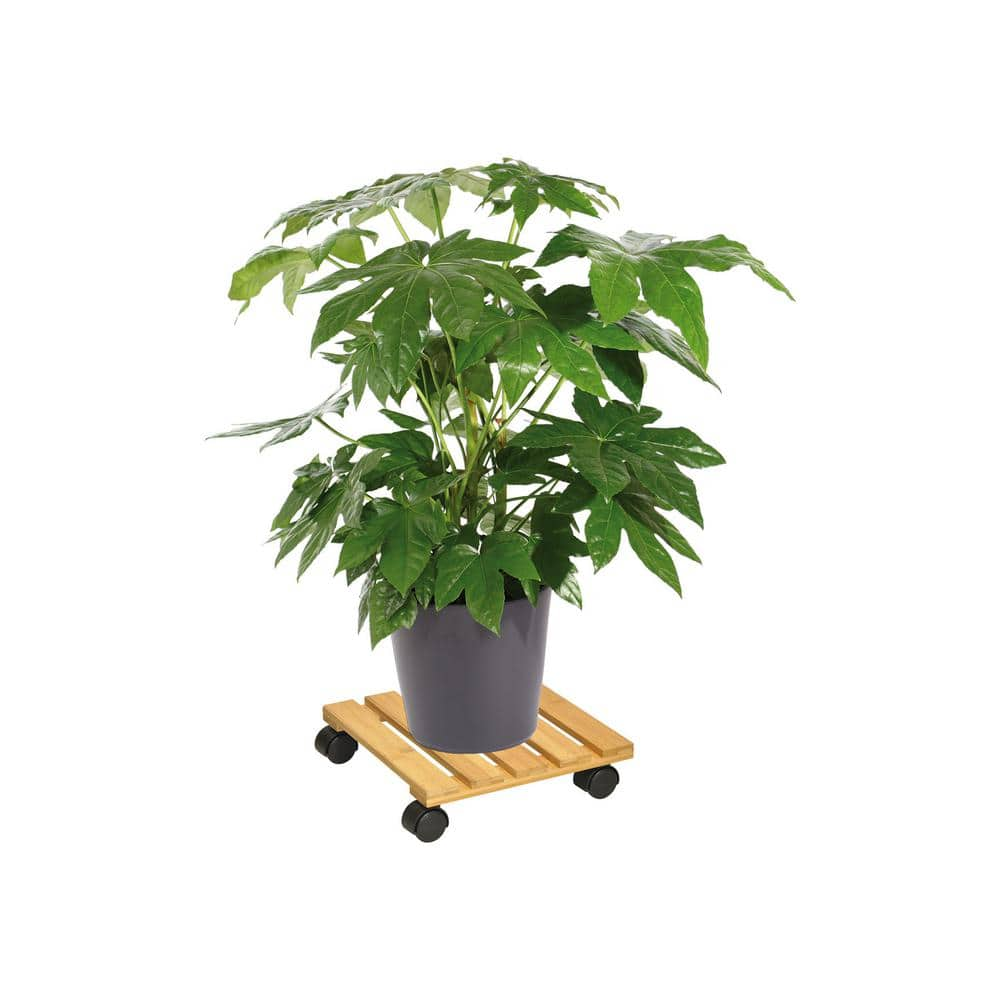 Wagner 2.75 in. H x 11.4 in. Dia Square Bamboo Plant Caddy 64-0265