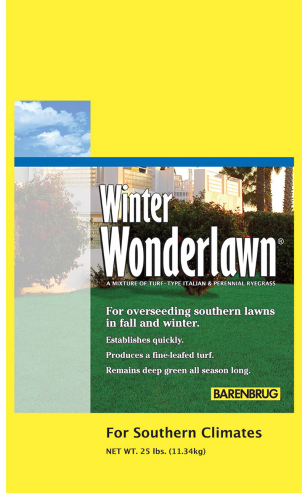 WINTER WNDRLAWN SEED25#