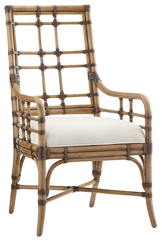 Seaview Arm Chair   Tropical   Dining Chairs   by Benjamin Rugs and Furniture  Houzz