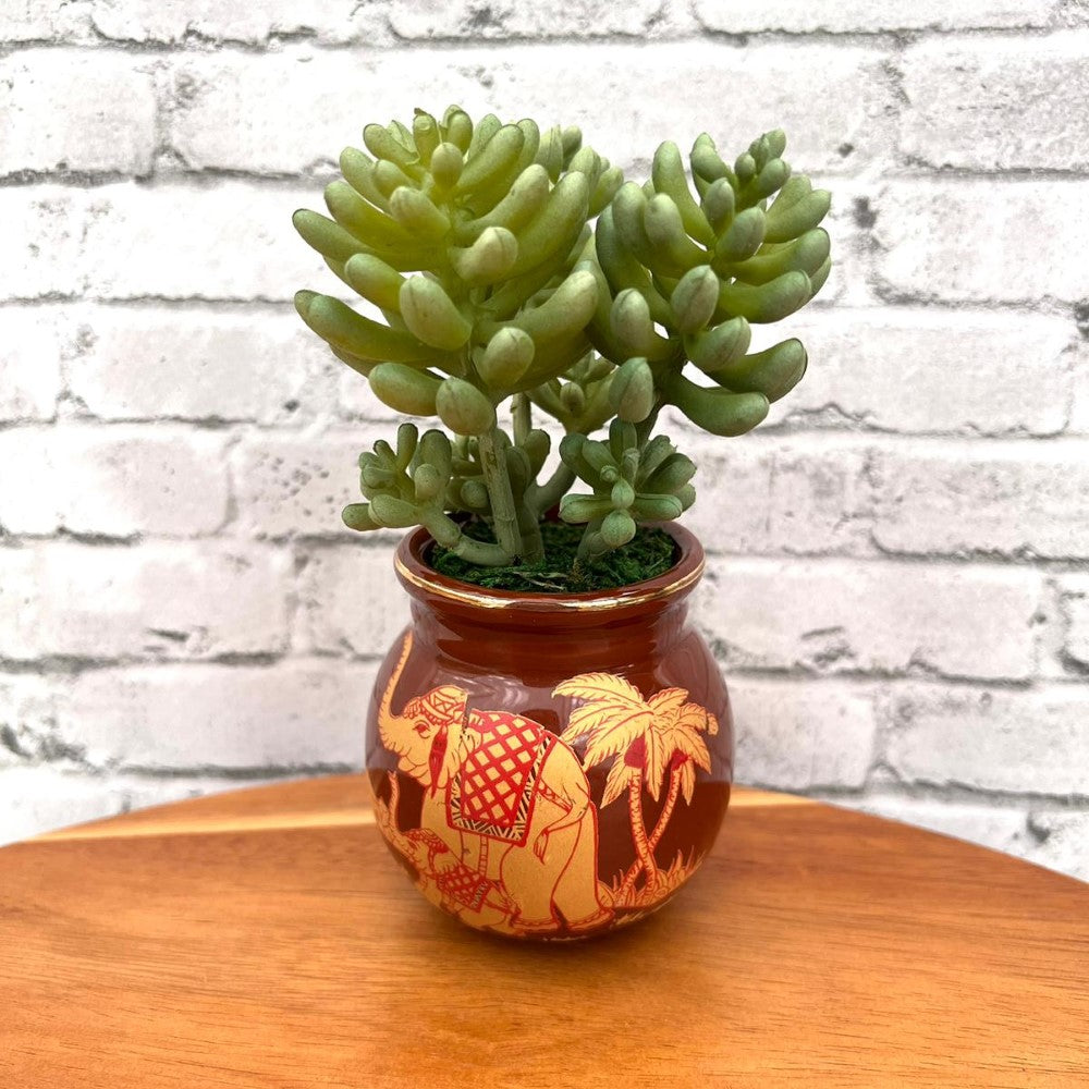 Beautiful Mini Green Succulent-Artificial