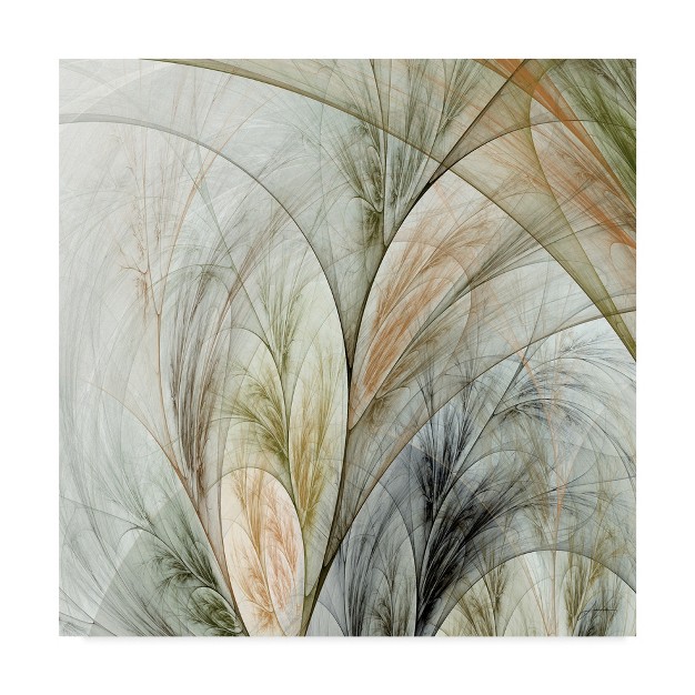 Trademark Fine Art james Burghardt x27 fractal Grass V x27 Canvas Art