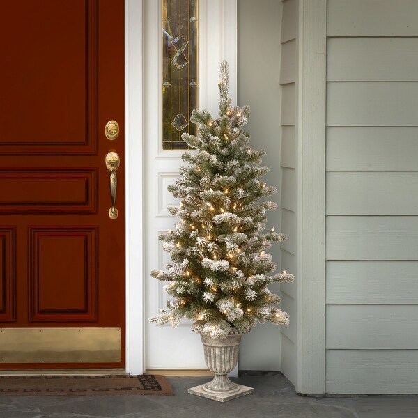 National Tree Company 4 ft. Snowy Sheffield Spruce Entrance Tree with Twinkly LED Lights