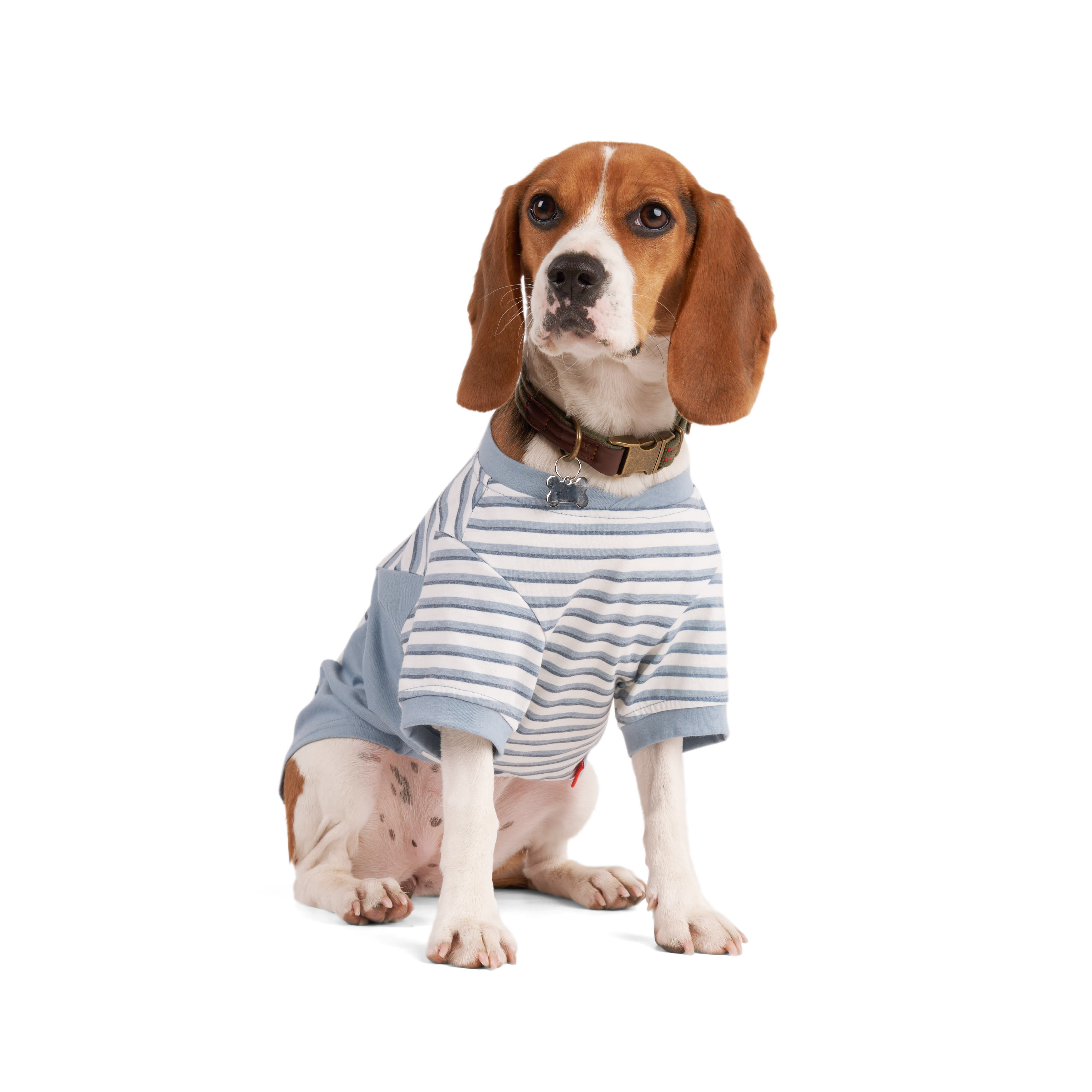 Reddy Blue Stripe Dog Tee， XX-Small