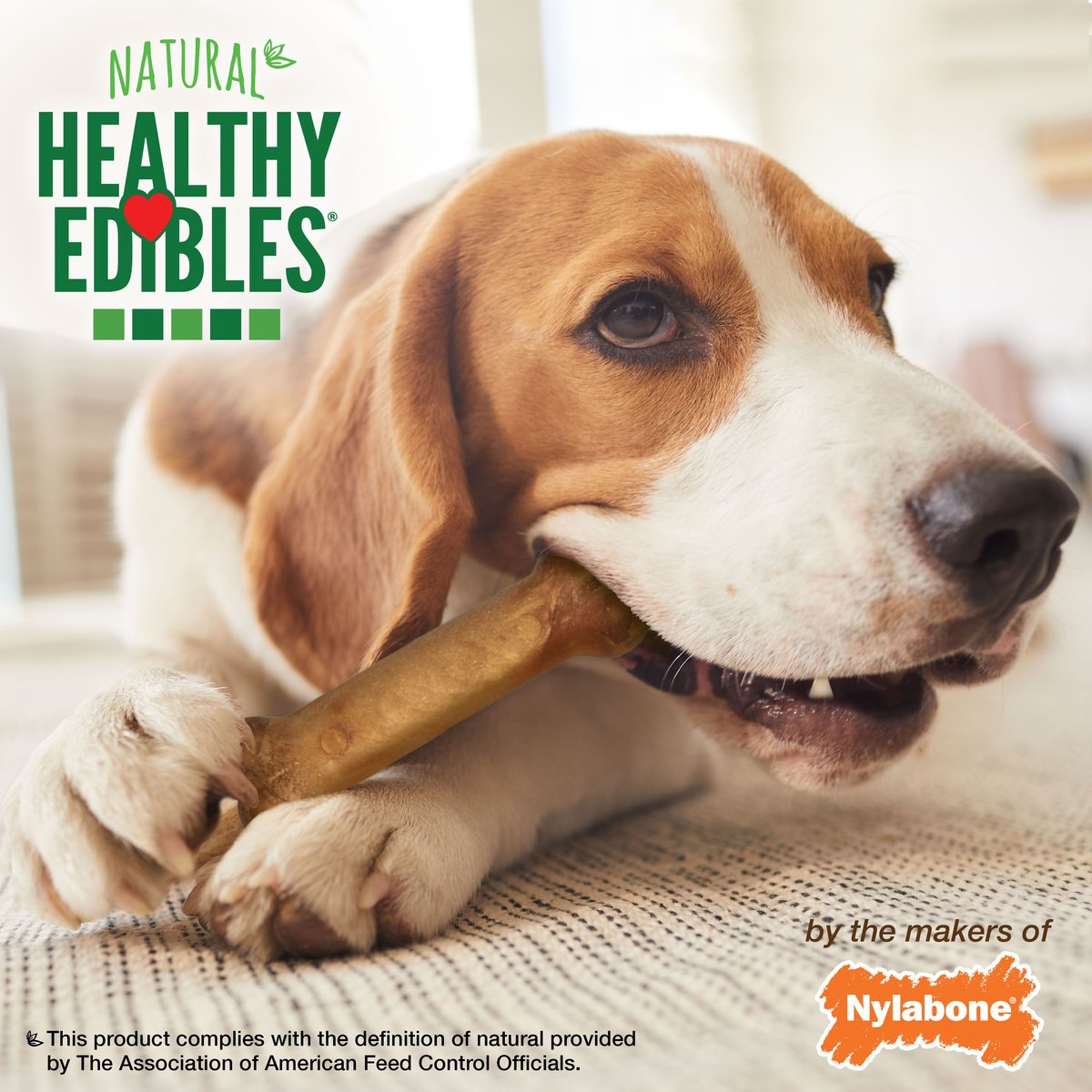 Nylabone Healthy Edibles Long Lasting Roast Beef Flavor Medium Breed Dog Bone Treats