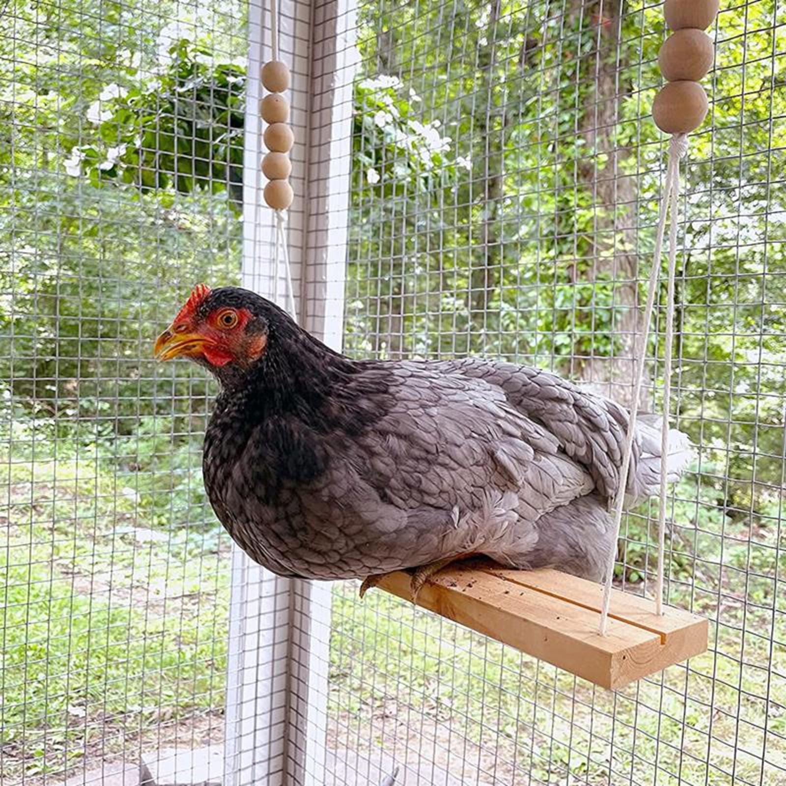 Wooden Chicken Swing Chicken Toys Chicken Coop Toys Birds Parrots Perch Exercise