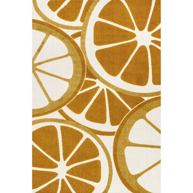 Nuloom Adira Orange Slices Indoor outdoor Area Rug