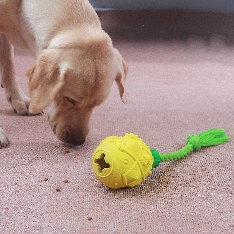 Pineapple leaky dog chew toys