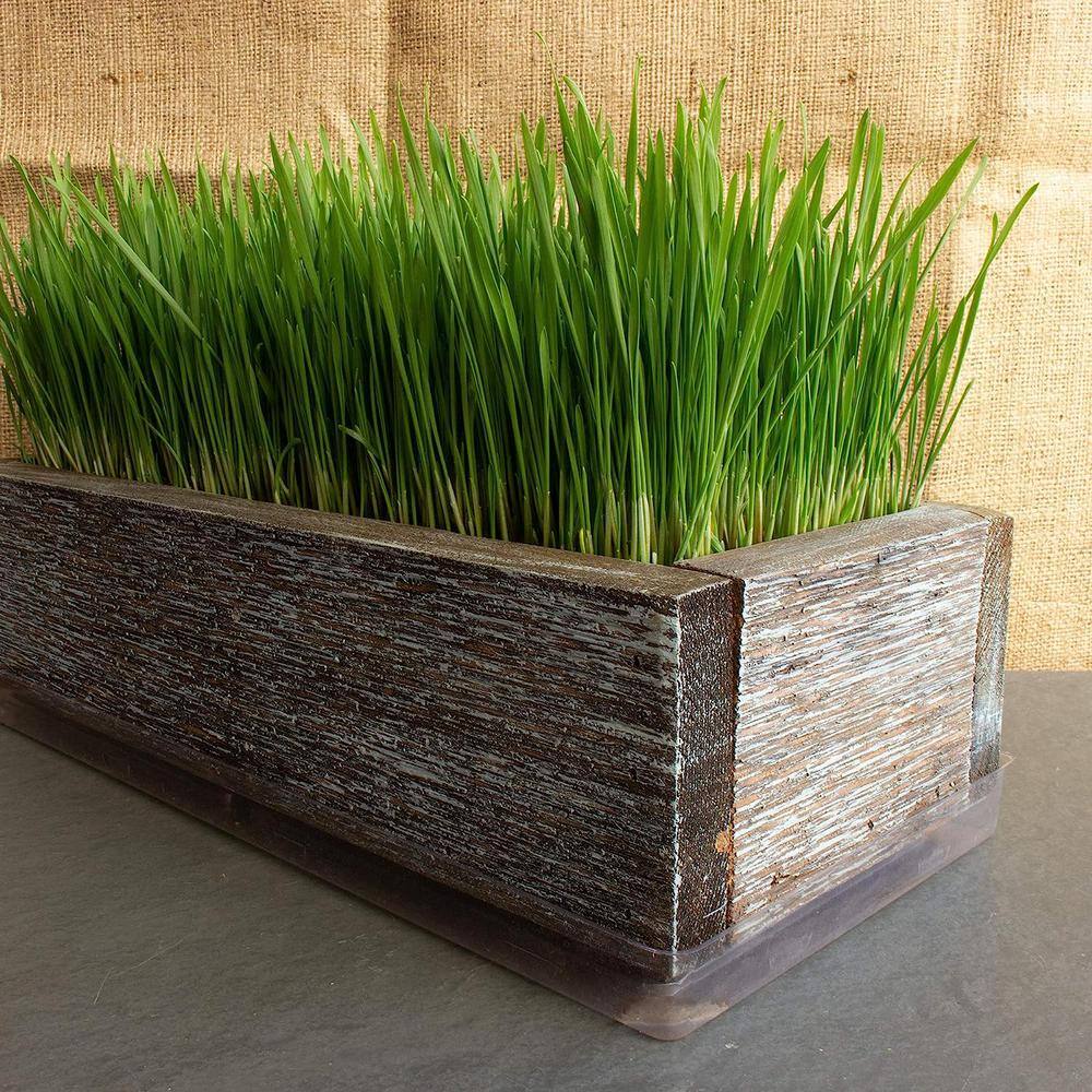 Cubilan Planter Box Aged Brown Weathered Rustic Look Flower Herb and House Plant Garden Barn Wood Planter with Drip Tray B07VHG52CN