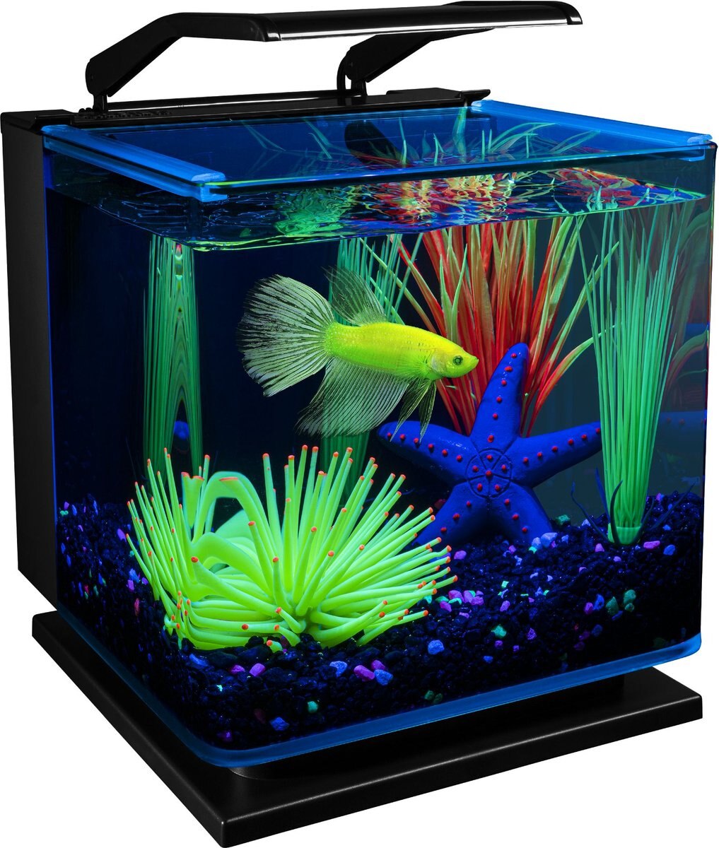 GloFish Betta Aquarium Water Balance， 2-oz bottle