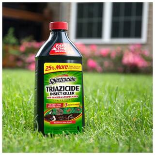 Spectracide 40 oz. Triazicide Insect Killer for Lawns and Landscapes Concentrate HG-55829-5