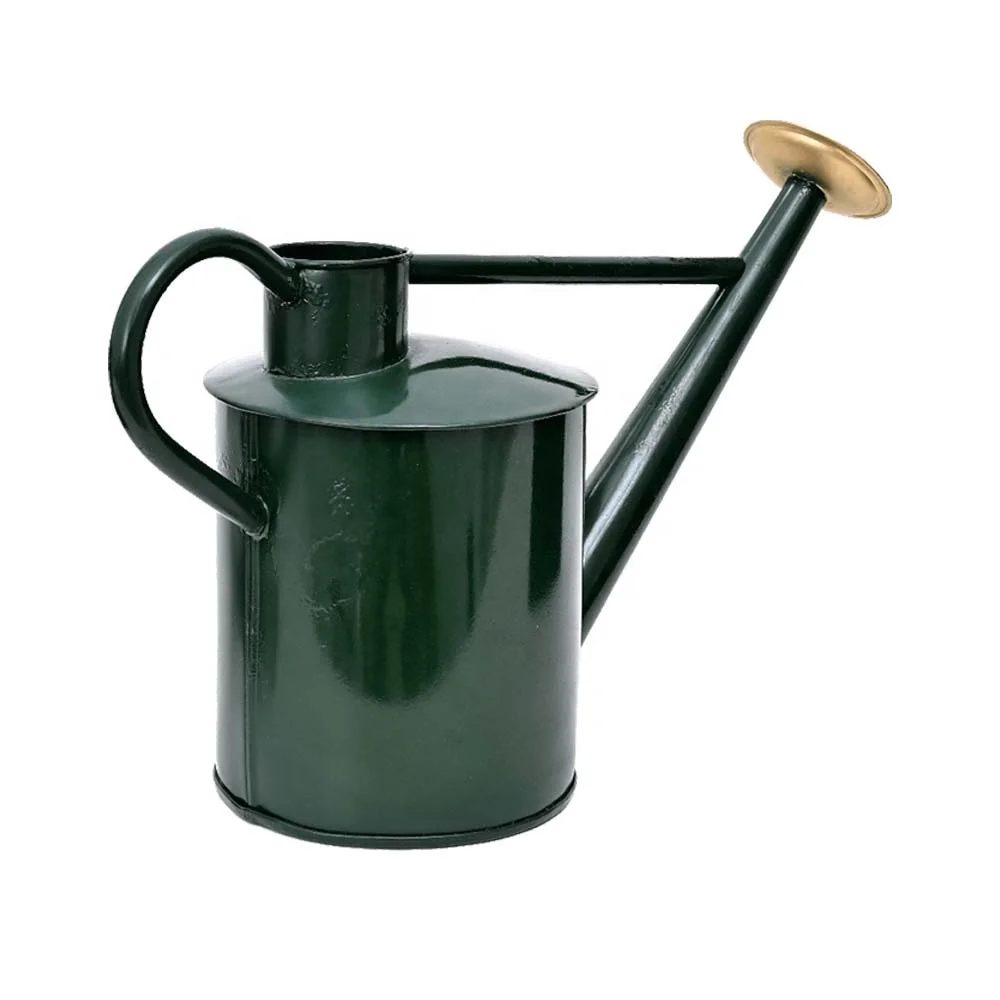 Decorative Common Design Forest Green Metal Watering Can Indoor Outdoor Pot for Home Gardening Plants Watering Circle in Shape