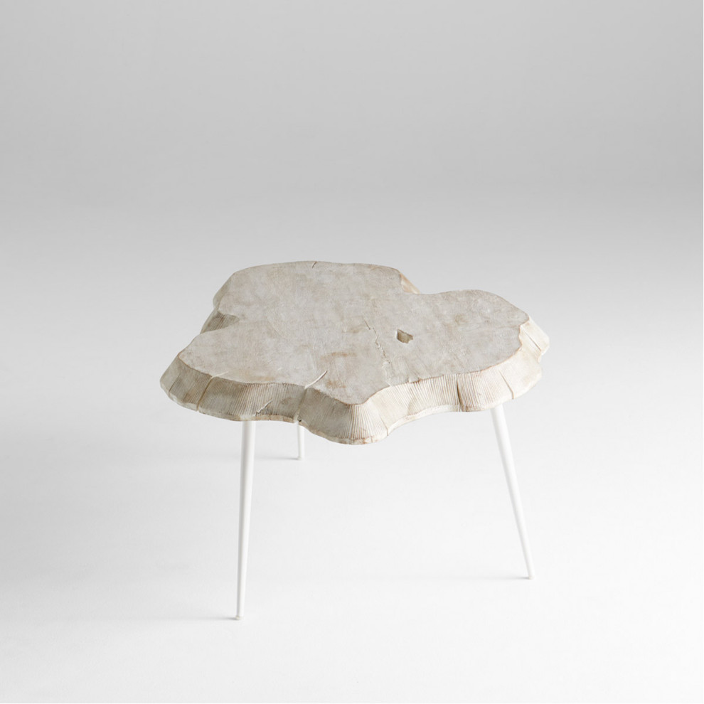 Palmer Coffee Table  Whitewash   Rustic   Coffee Tables   by Lighting New York  Houzz