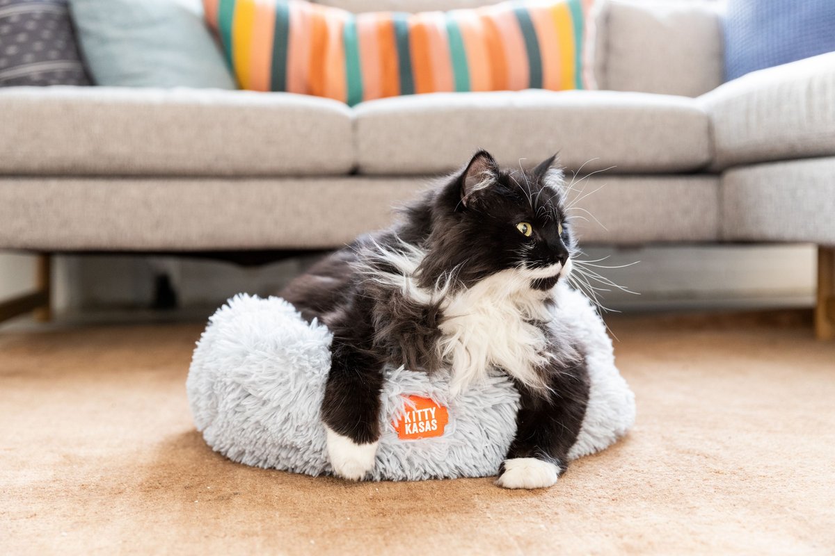 Kitty Kasa Donut Cat Bed