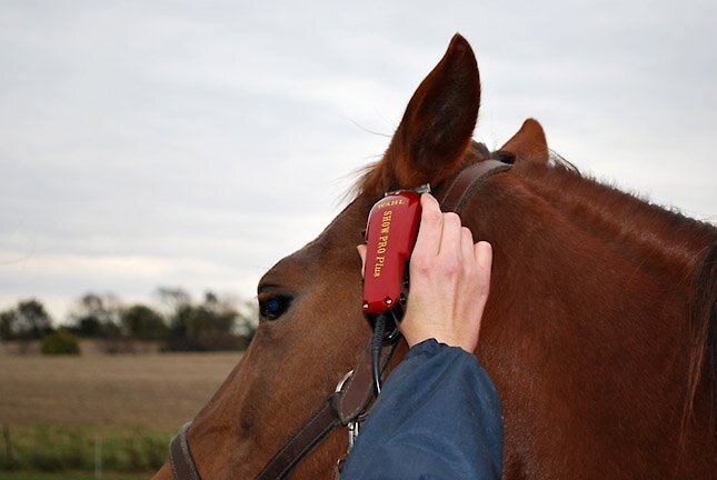 Wahl Show Pro Plus Horse Clipper Kit