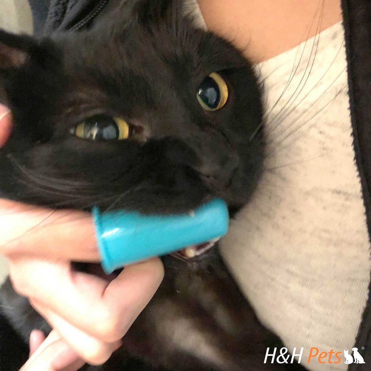 HandH Pets Finger Dog and Cat Toothbrush