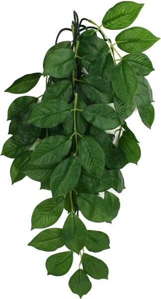 Komodo Climbing Green Leaf Aquarium Plant