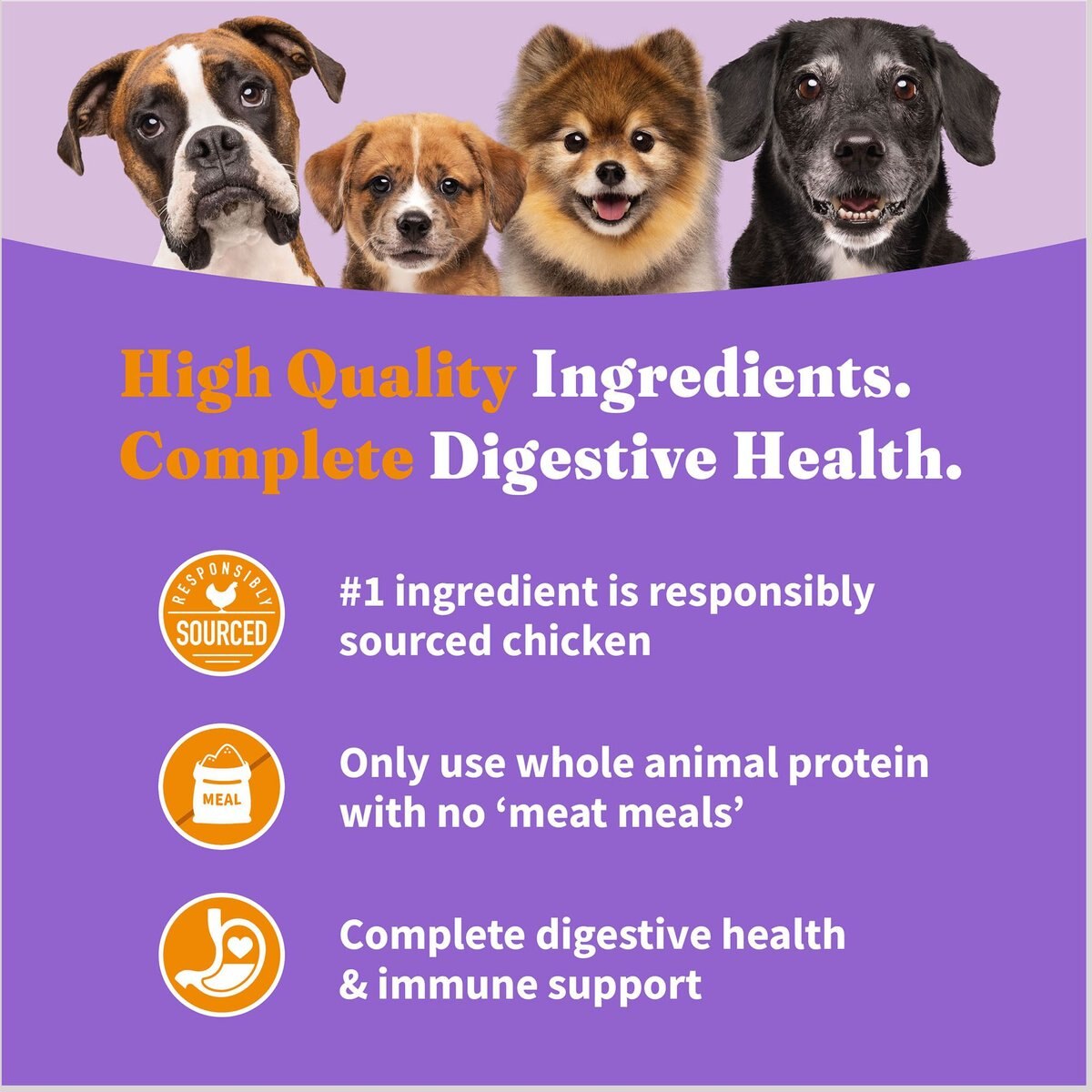 Halo Holistic Complete Digestive Health Chicken and Brown Rice Dog Food Recipe Adult Dry Dog Food