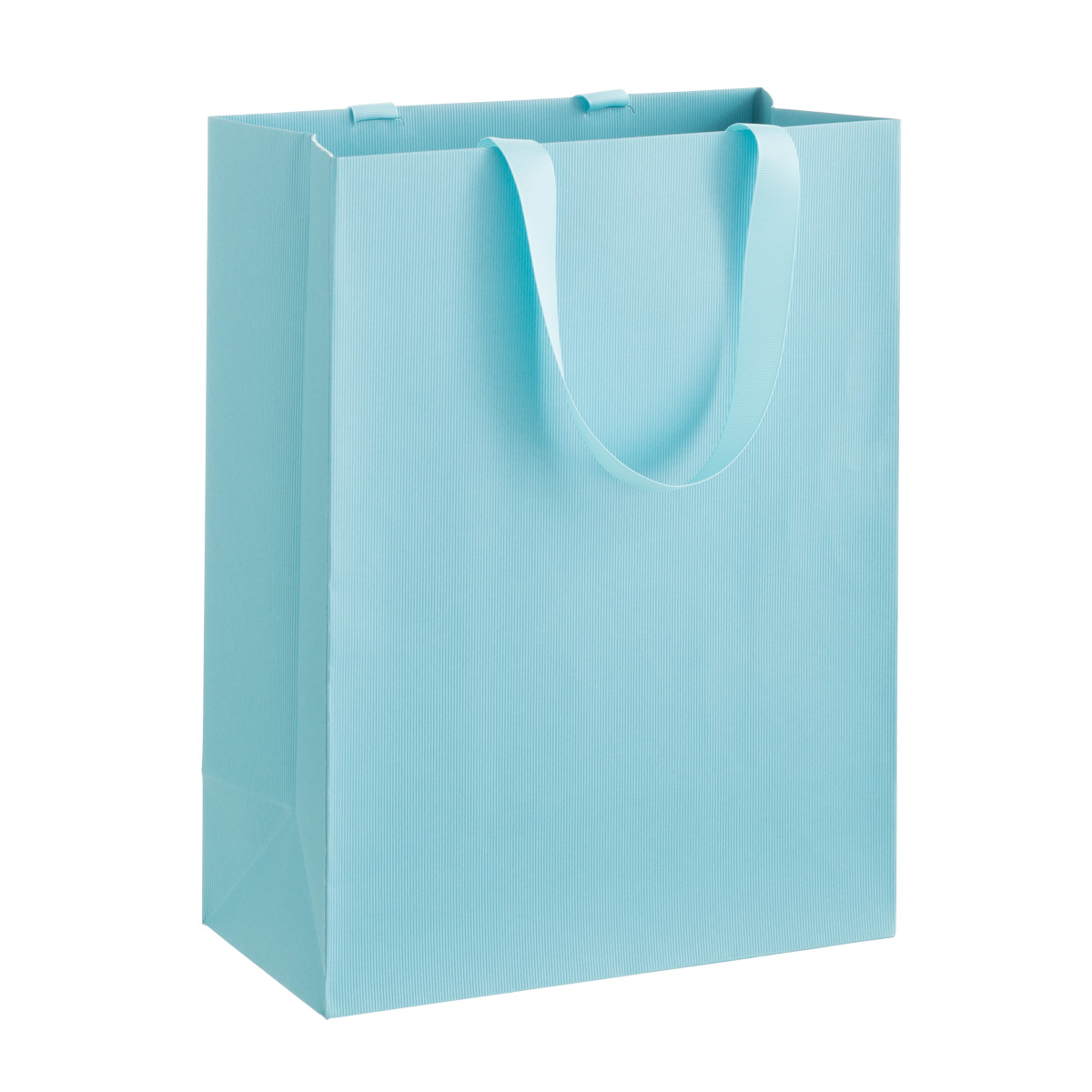 Large Gift Bag