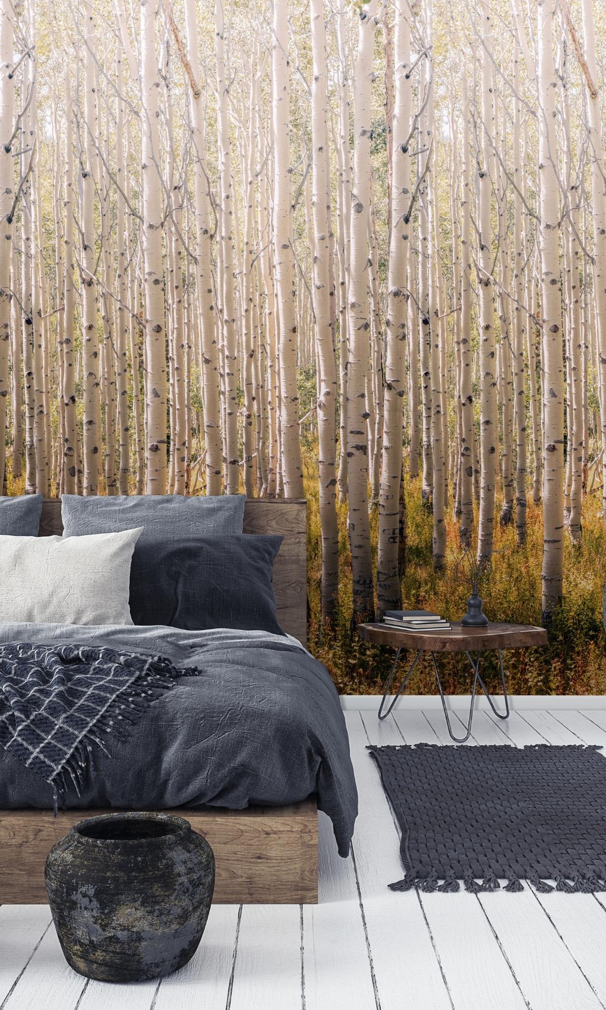 Birch Tree Forest Wall Mural