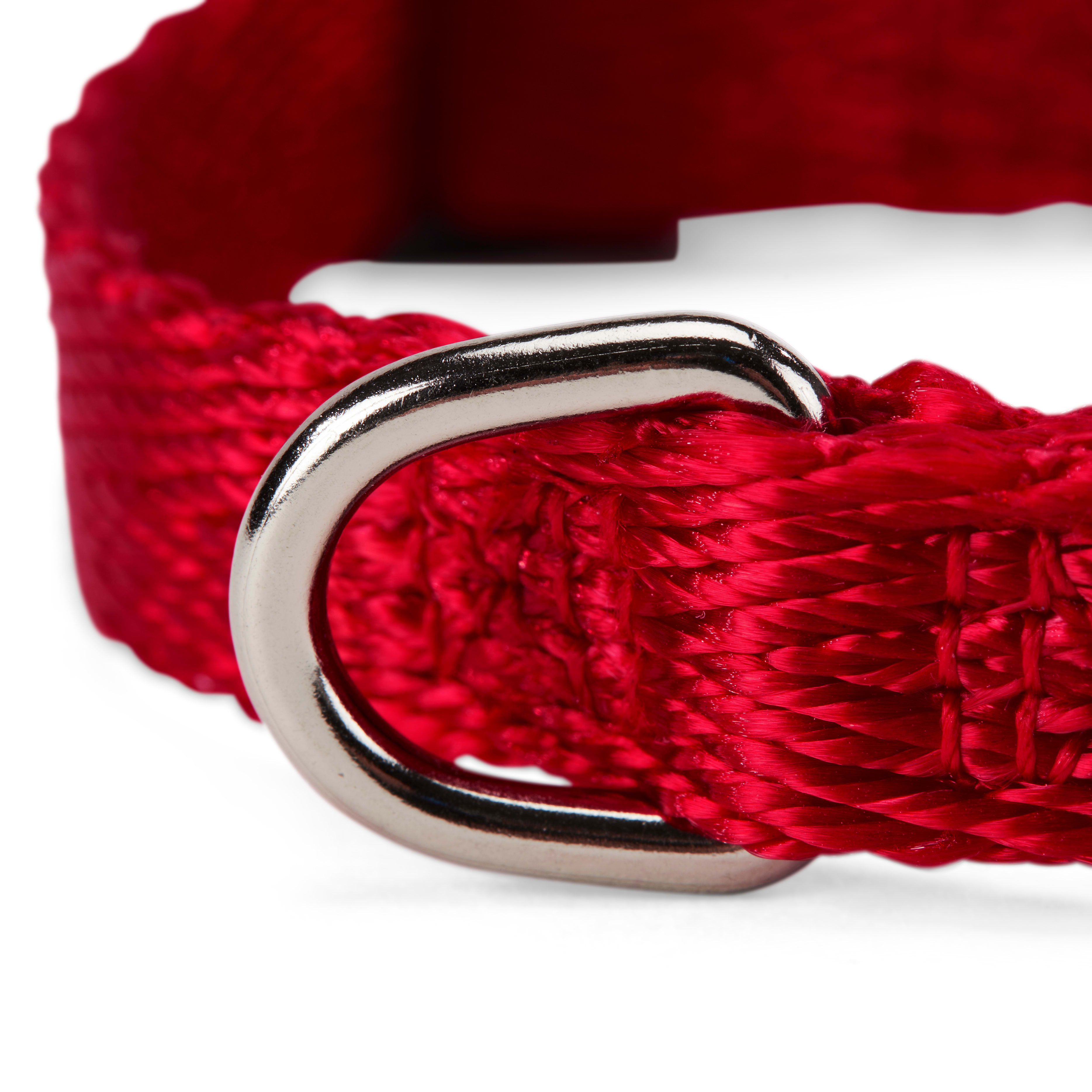 YOULY The Classic Red Webbed Nylon Dog Collar， Small