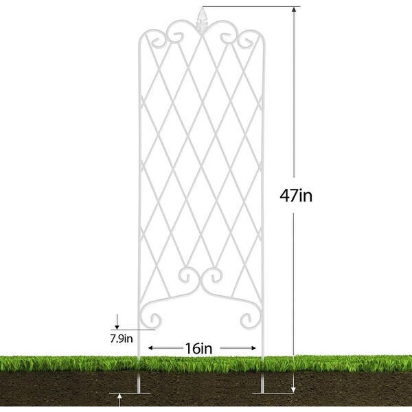 2 Pack Garden Trellis Iron Plant Support Climbing Vines