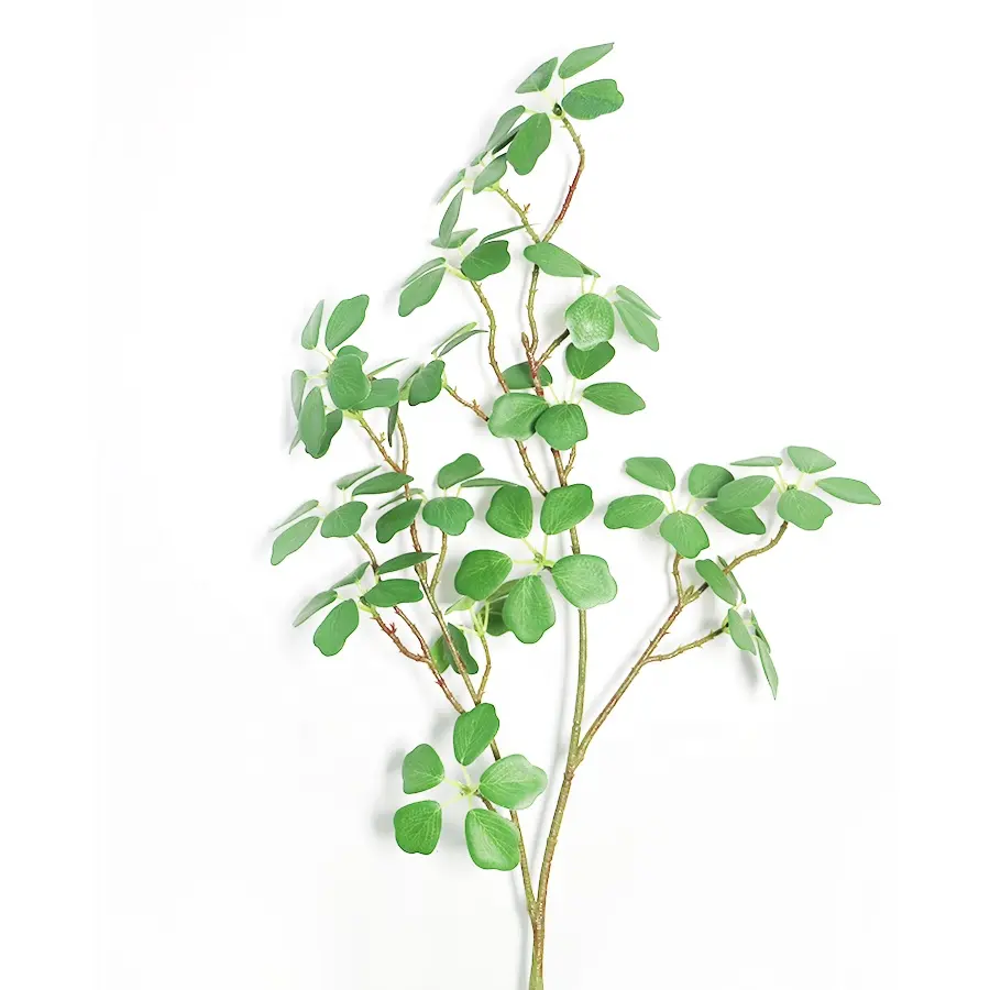 Supplies 75cm long artificial ficus deltoidea spray