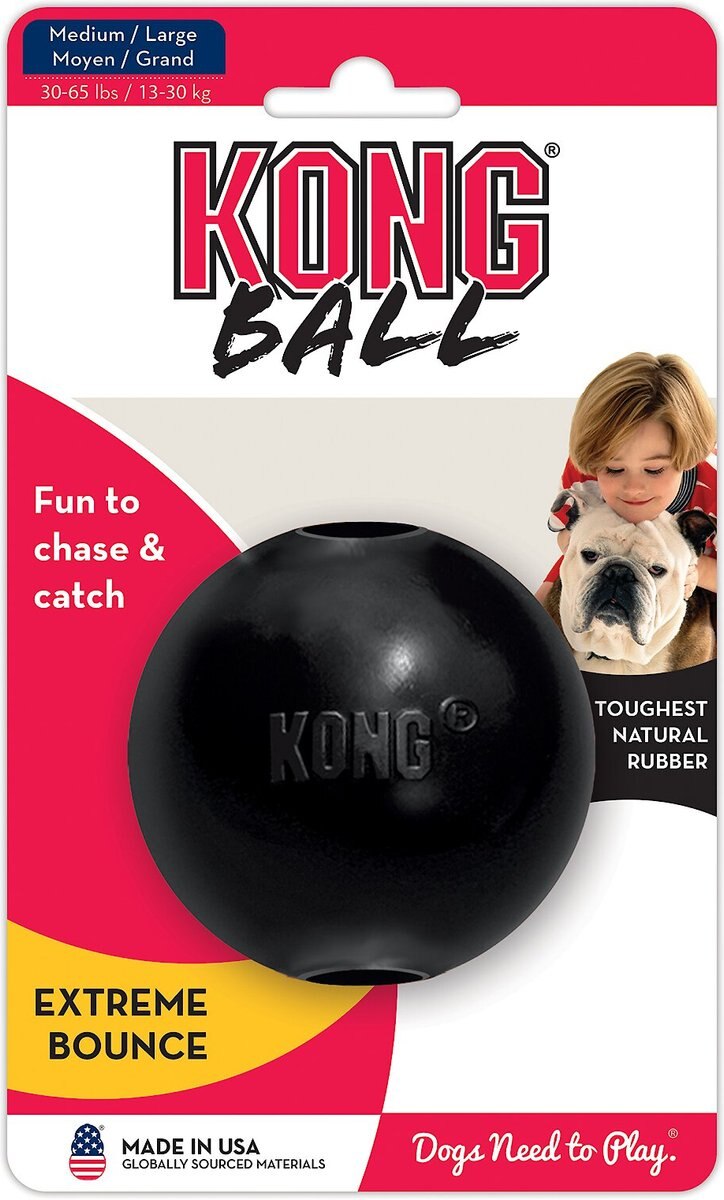 KONG Extreme Ball Dog Toy