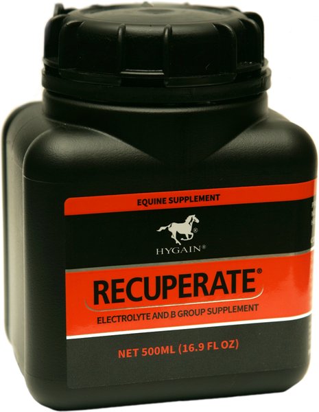 Hygain Recuperate Horse Supplement， 1-lb tub