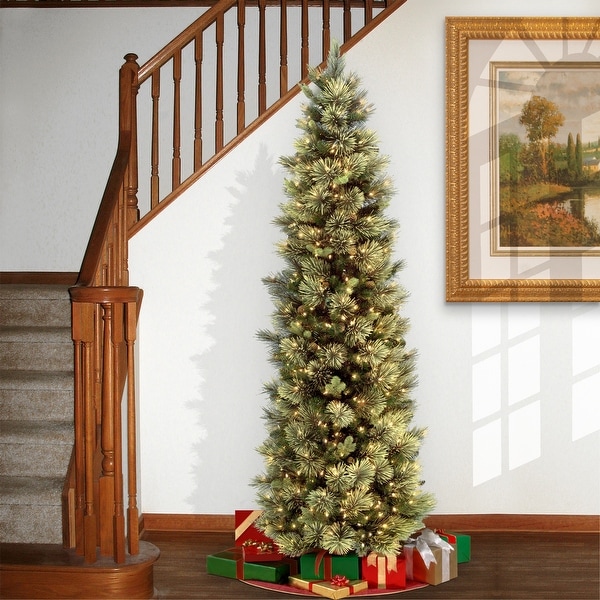 National Tree Company 9 ft. Carolina Pine Slim Tree with Clear Lights