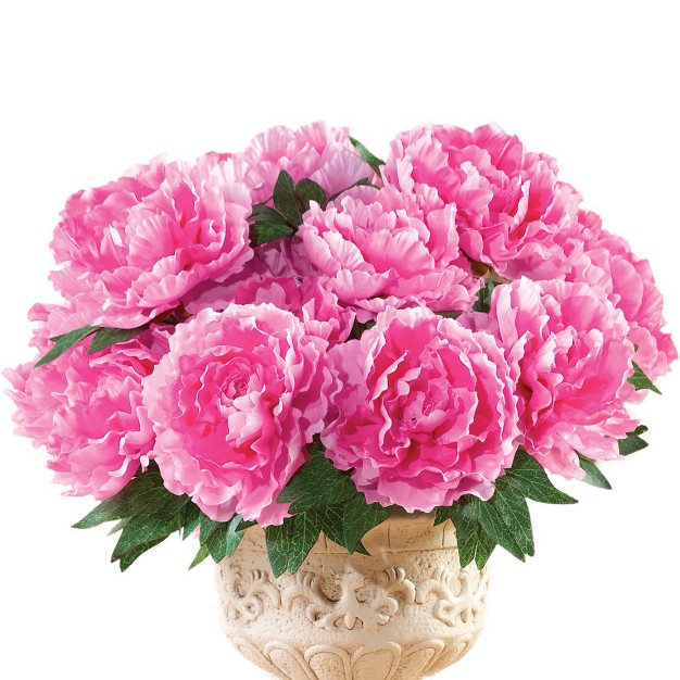 Collections Etc Floral Peony Bushes Set Of 3