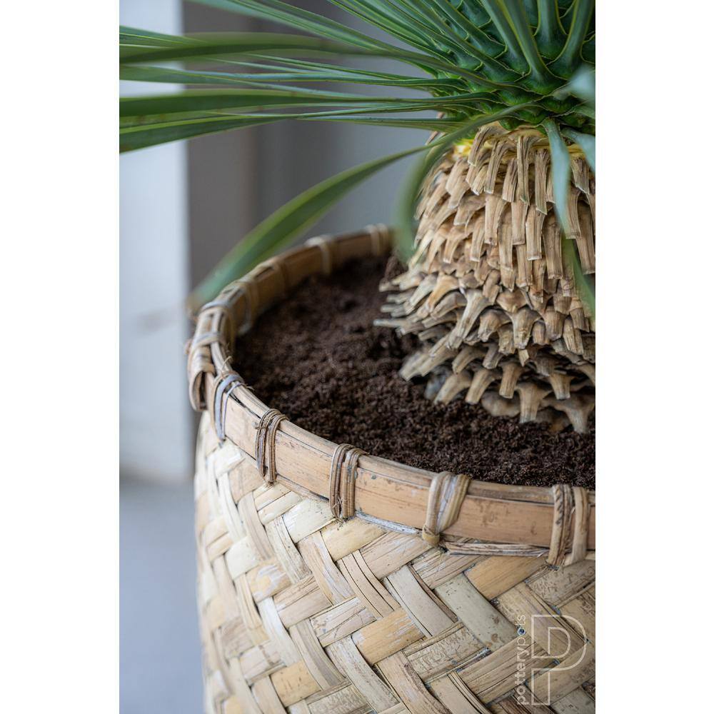 PotteryPots Zayn XXXS 12.4 in. Dia Bamboo IndoorOutdoor Round Planter T4101-33-BB