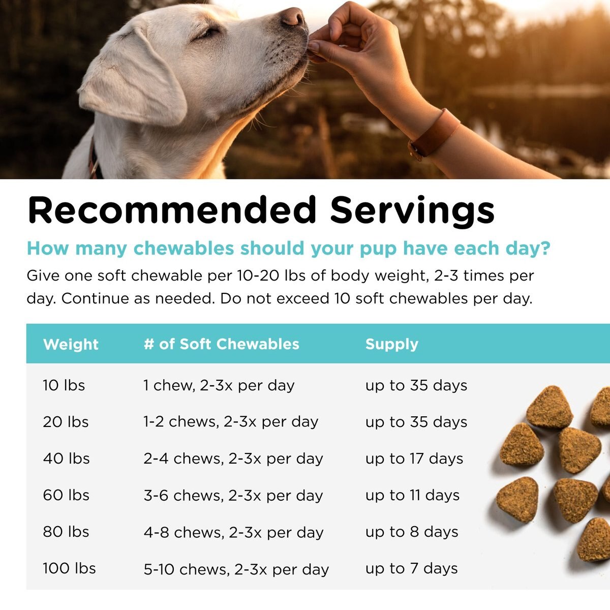 Nutri-Vet Pet-Ease Soft Chews Calming Supplement for Dogs