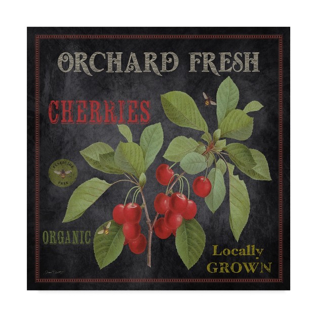 Trademark Fine Art jean Plout x27 orchard Fresh Cherries x27 Canvas Art