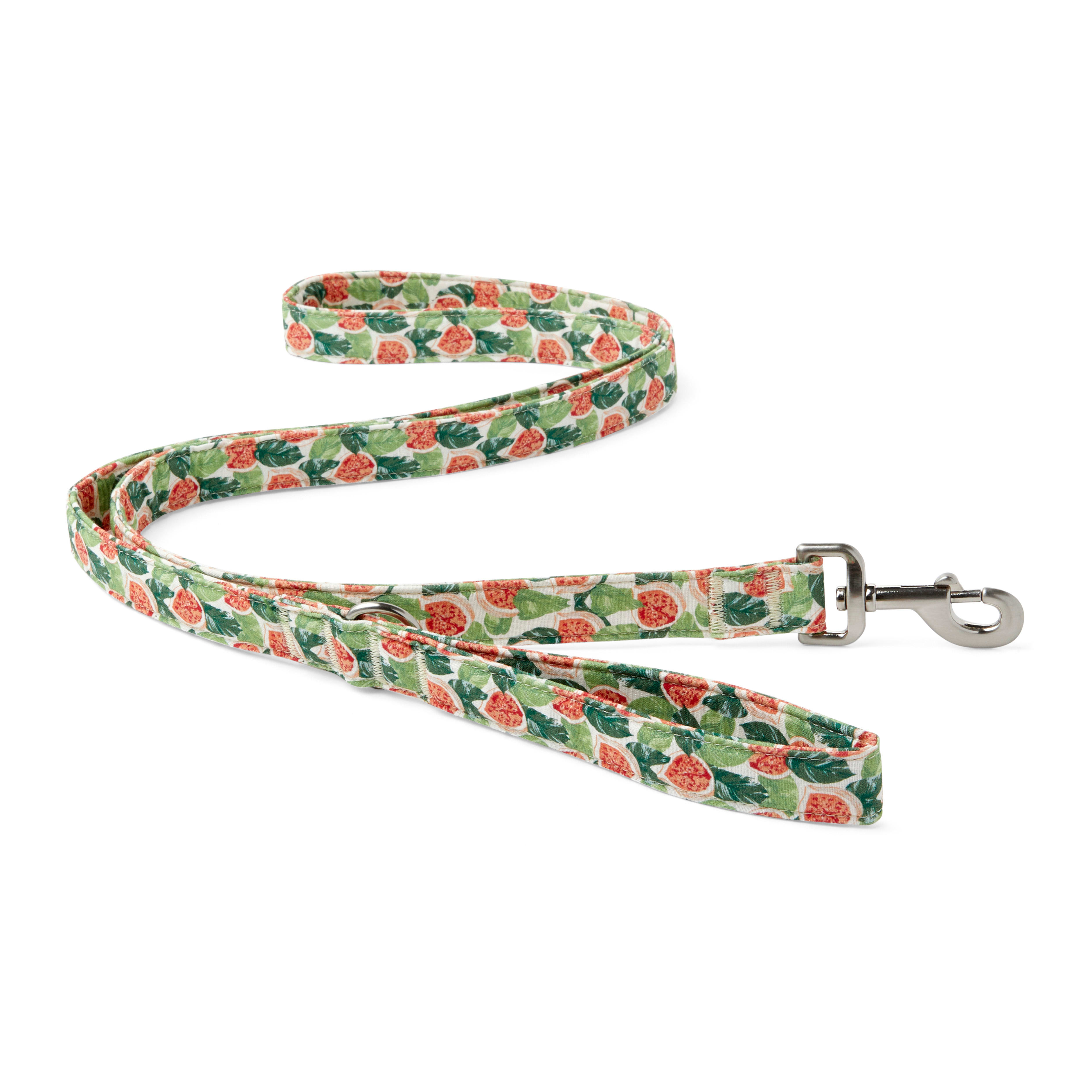 YOULY The Wanderer Green  Multicolor Go Fig-ure Dog Leash， 6 ft.