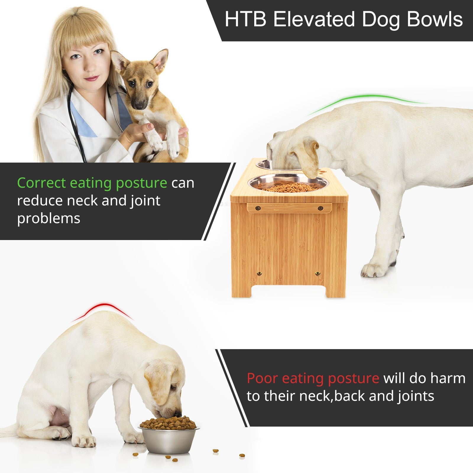 HTB Elevated Dog Bowls Stand with 2 Stainless Steel Bowls