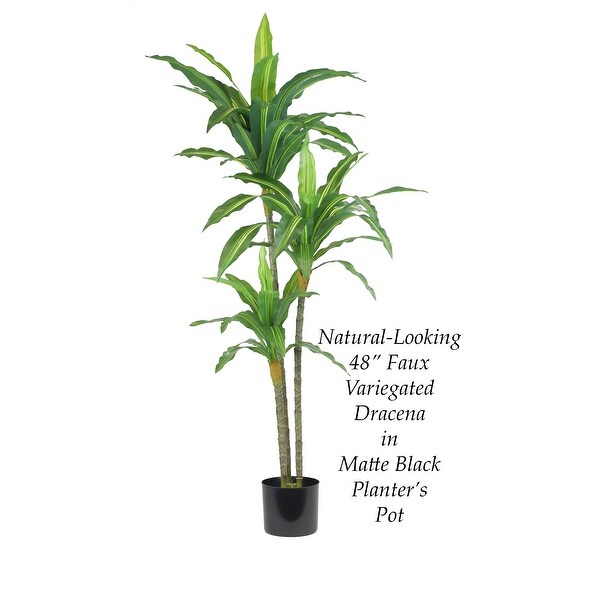 The Mod Greenhouse Artificial Dracaena Plant in Black Matte Planter's Pot