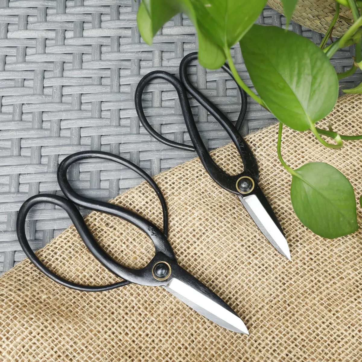 Heat treated high carbon steel 8 bonsai gardening trimming hand pruning shears scissors