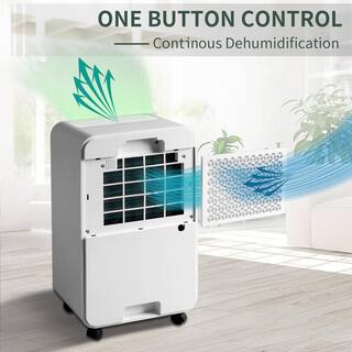 30 pt. 3000 sq.ft. Auto or Manual Drain Dehumidifier in. White with 2L Water Tank jinxDHMDFR1