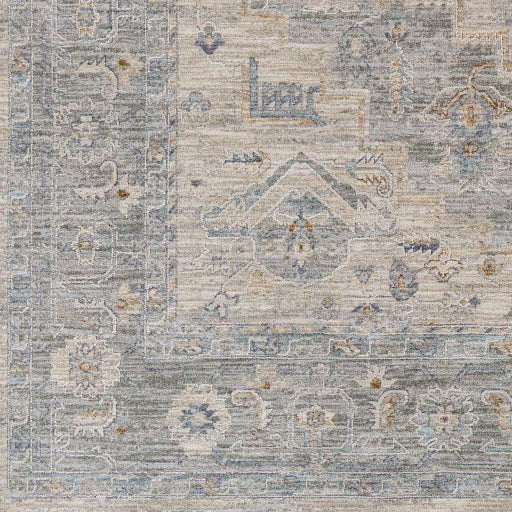 Avant Garde Traditional Light Gray Rug