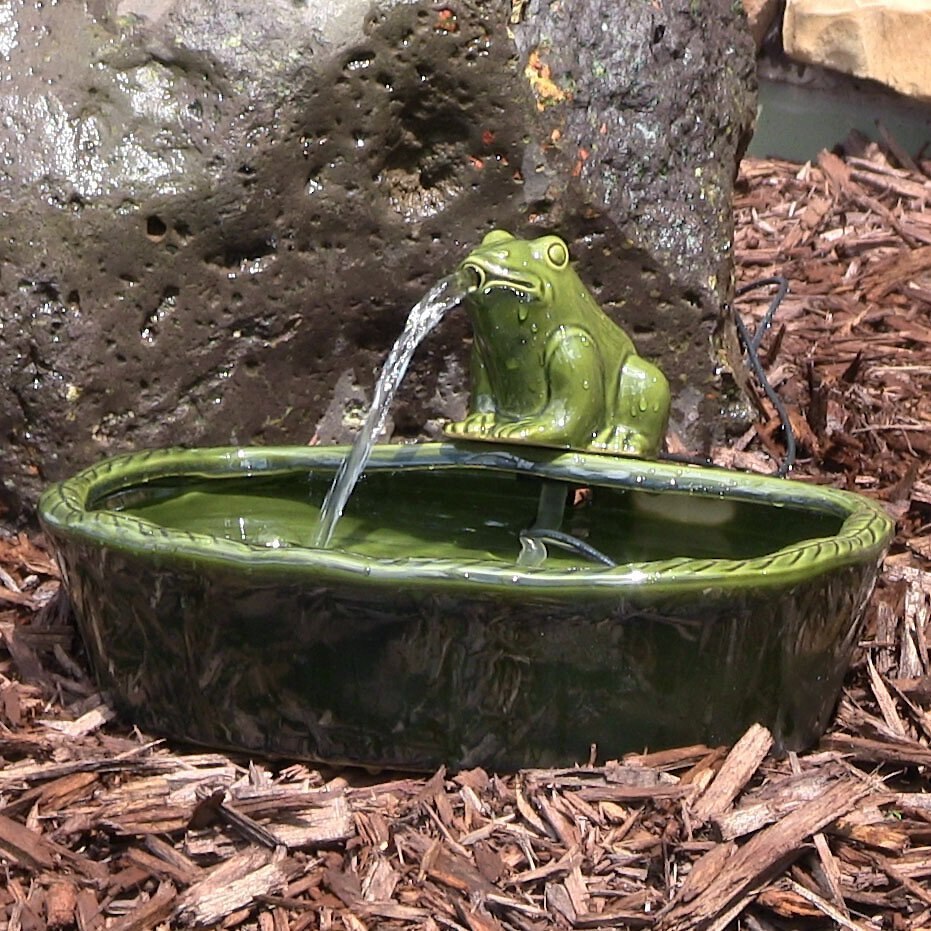 Sunnydaze Decor Ceramic Solar Frog Outdoor Water Fountain