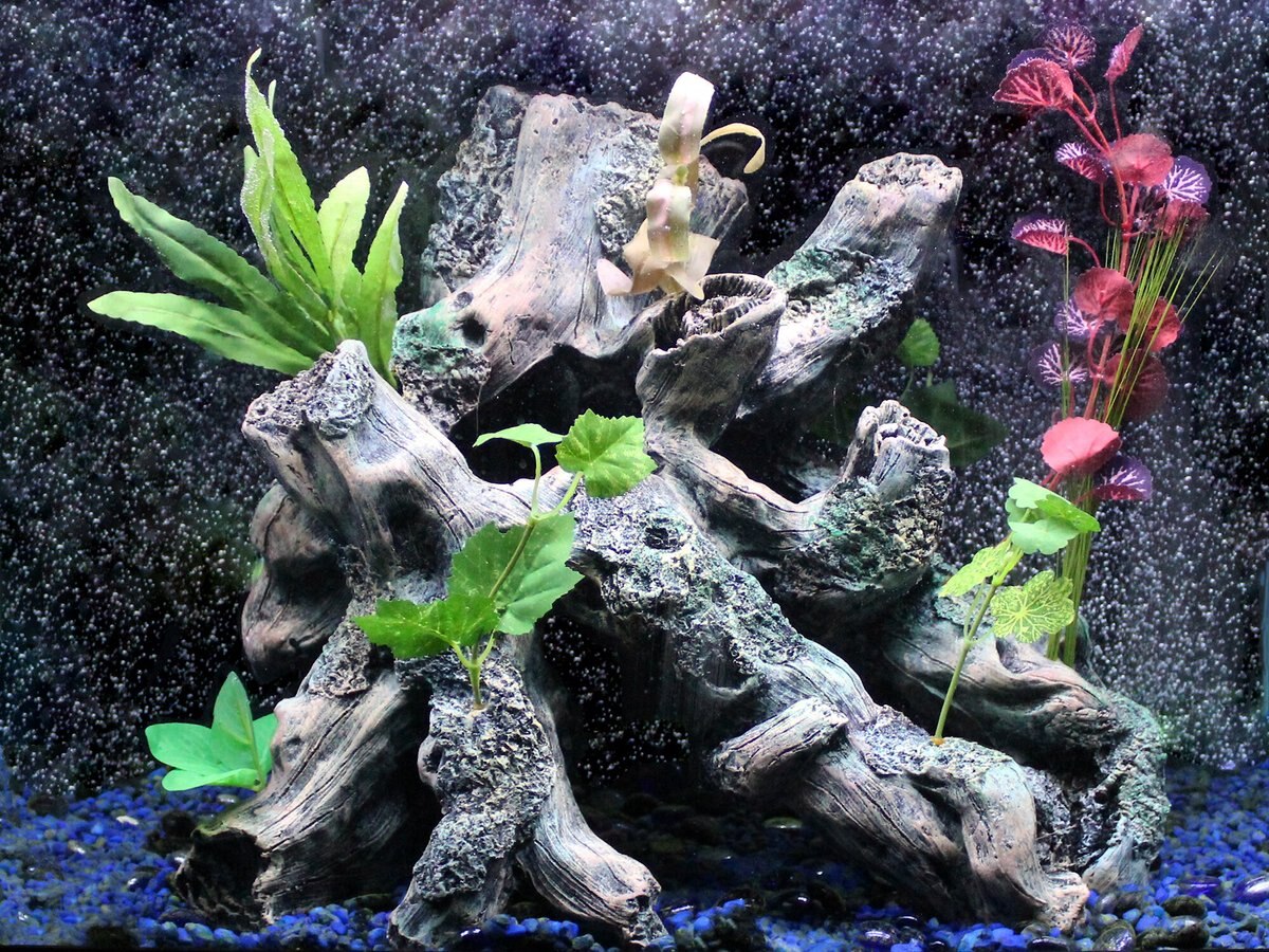 Penn-Plax Driftwood Garden Super Aquarium Decor