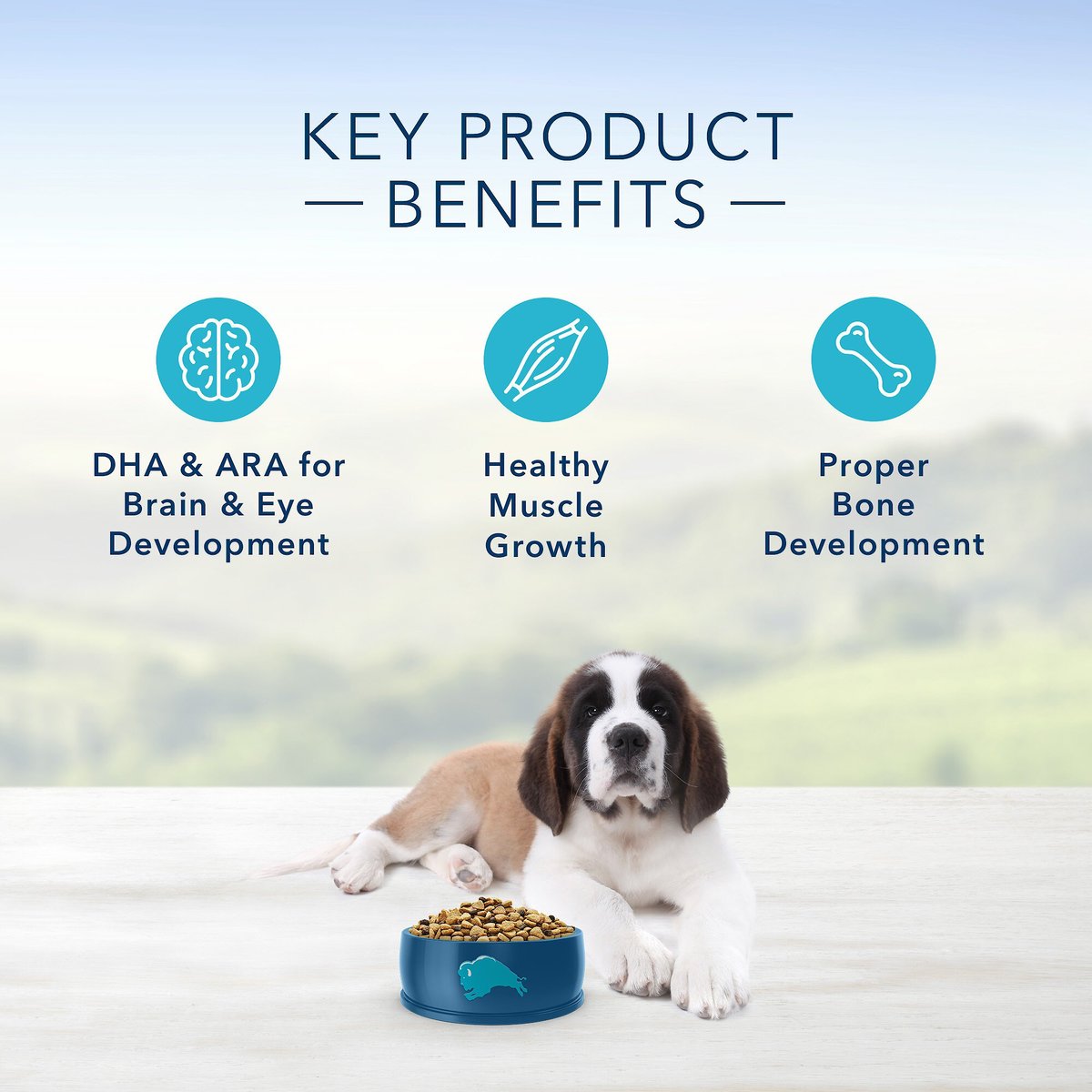 Blue Buffalo Life Protection Formula Large Breed Puppy Chicken and Brown Rice Recipe Dry Dog Food