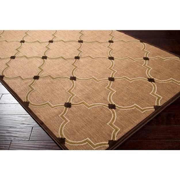 Rectangle Woven Indoor And Outdoor Area Rugs Dark Brown