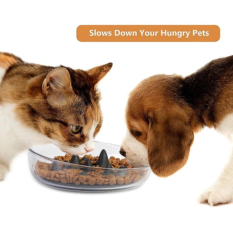 2 In 1 silicone non-slip dog bowl