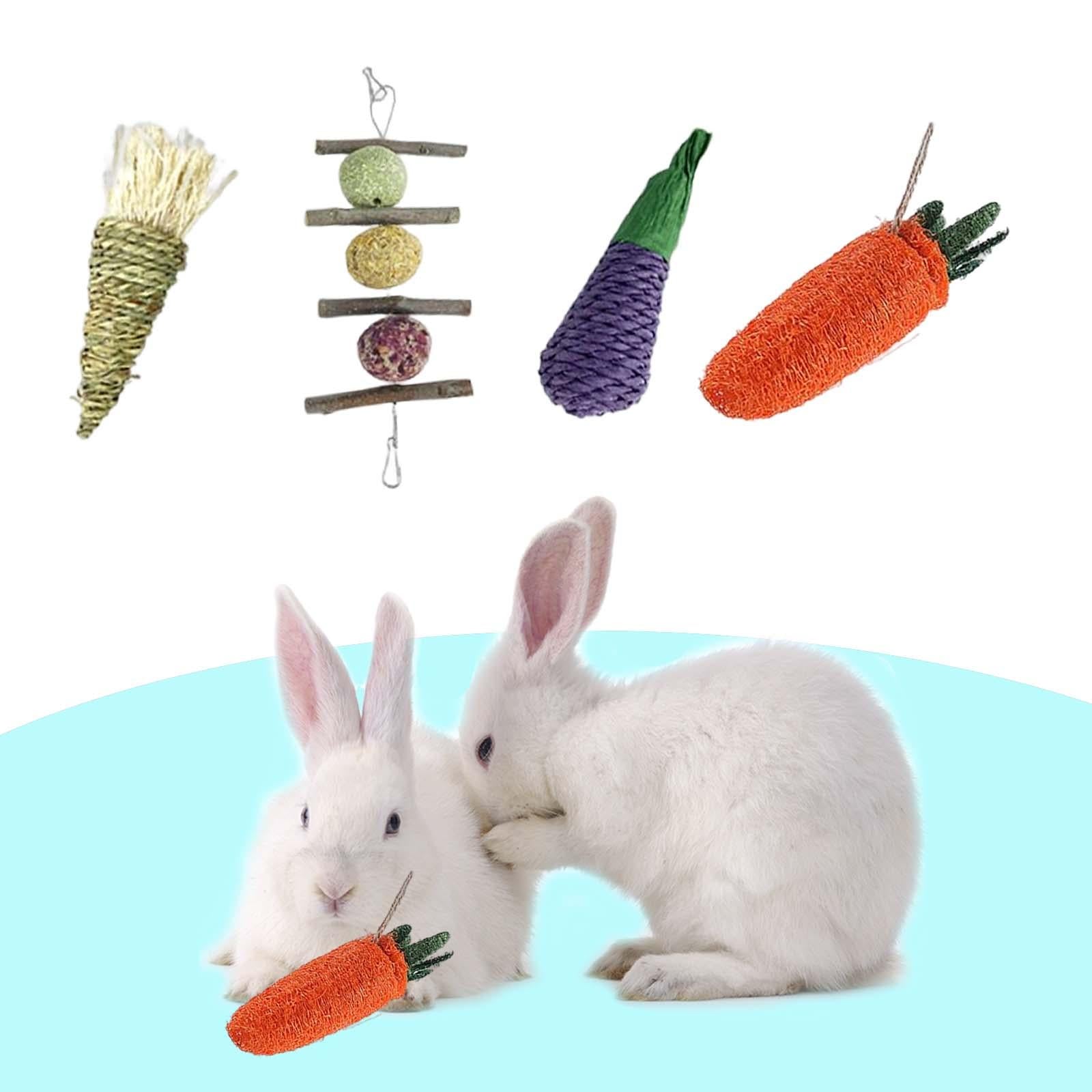 4x Rabbit Chew Toys Sticks Cage Hanging Radish Molar Bunny