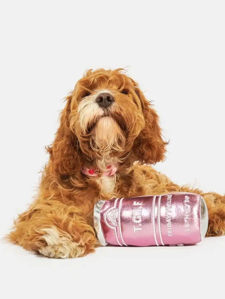 Pink Gin Plushy Dog Toy