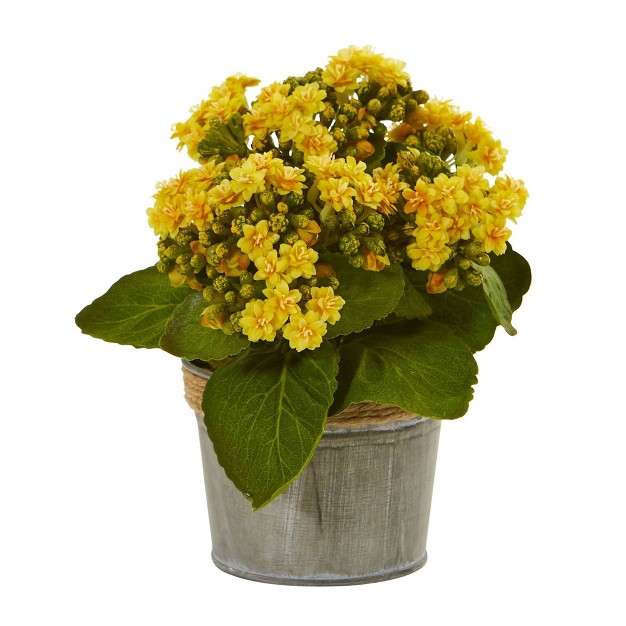 X 8 3pc Artificial Kalanchoe Arrangement In Pot Set - Nearly Natural